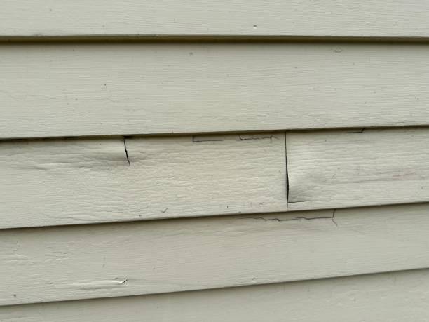 Best Custom Siding Design  in San Antonio, TX